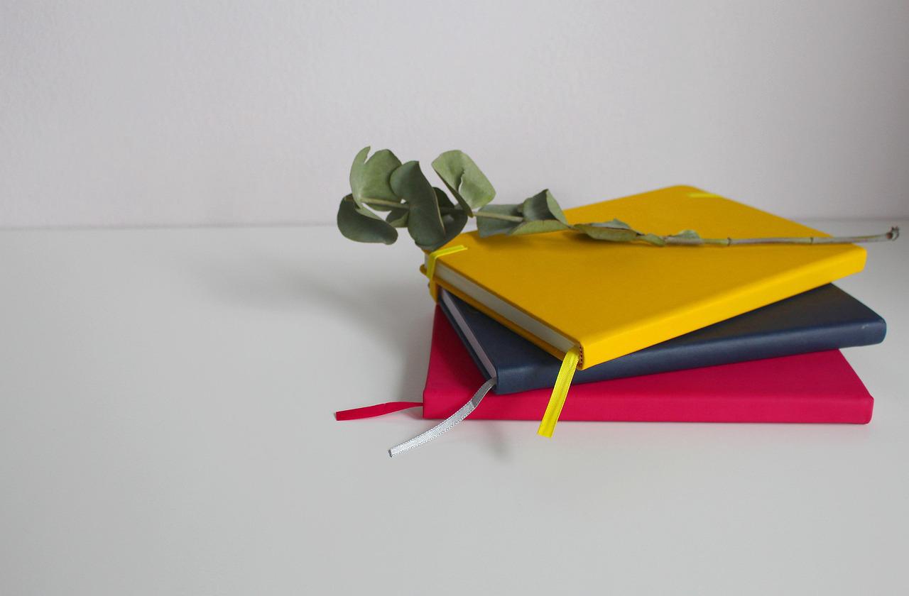 Loud em Casa